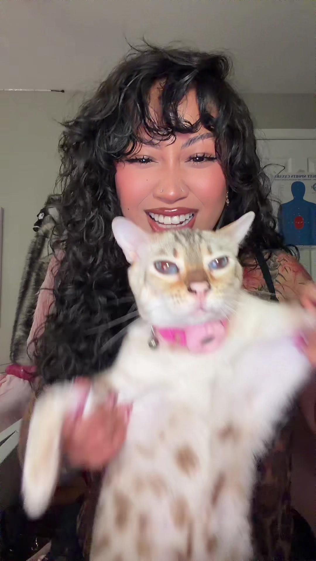 @Mirajane The Bengal🐾