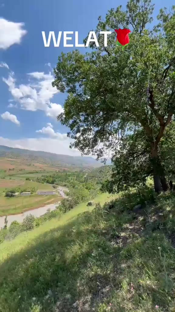 @Ercan Ekinci
