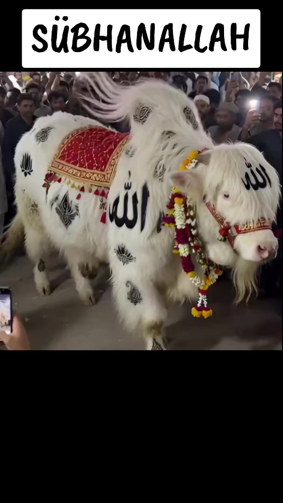 @&Acirc;bH&acirc;Z