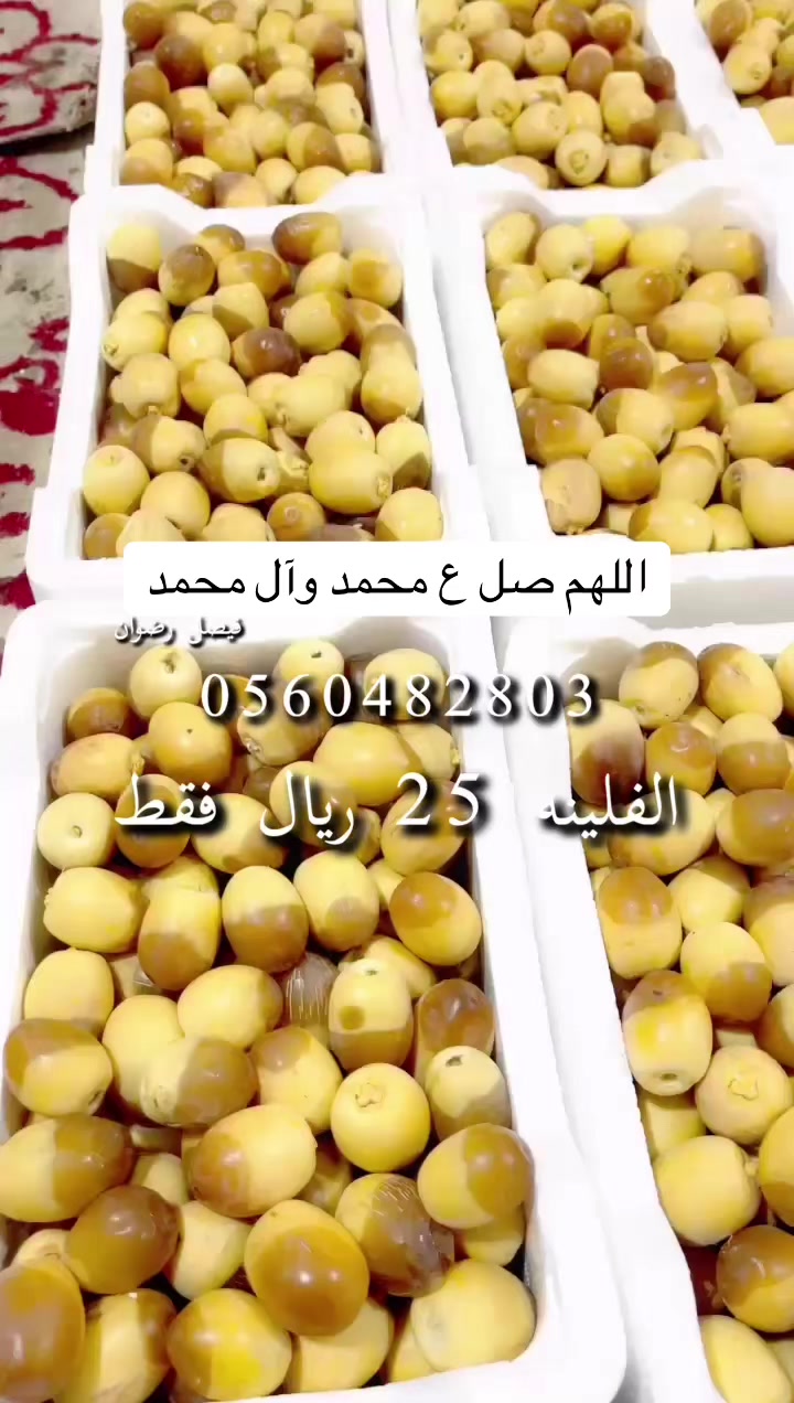 @ashkaltbiah