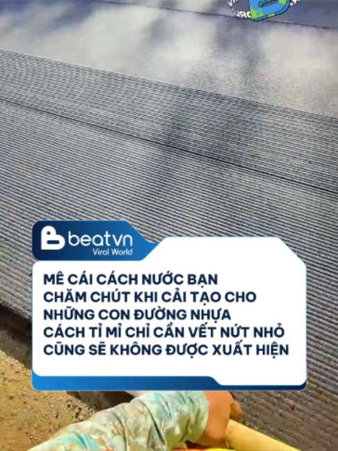 @Beatvn Viral World