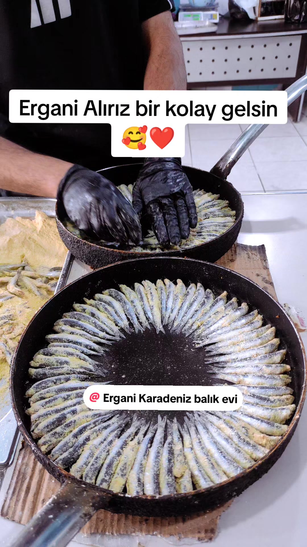 @Ergani Karadeniz balık evi