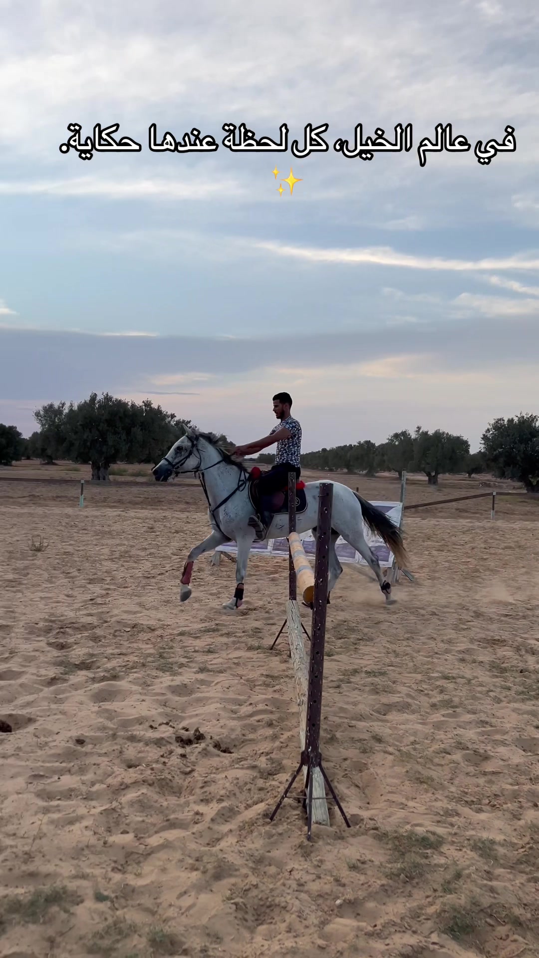 @Feres Ben Amor 🏇