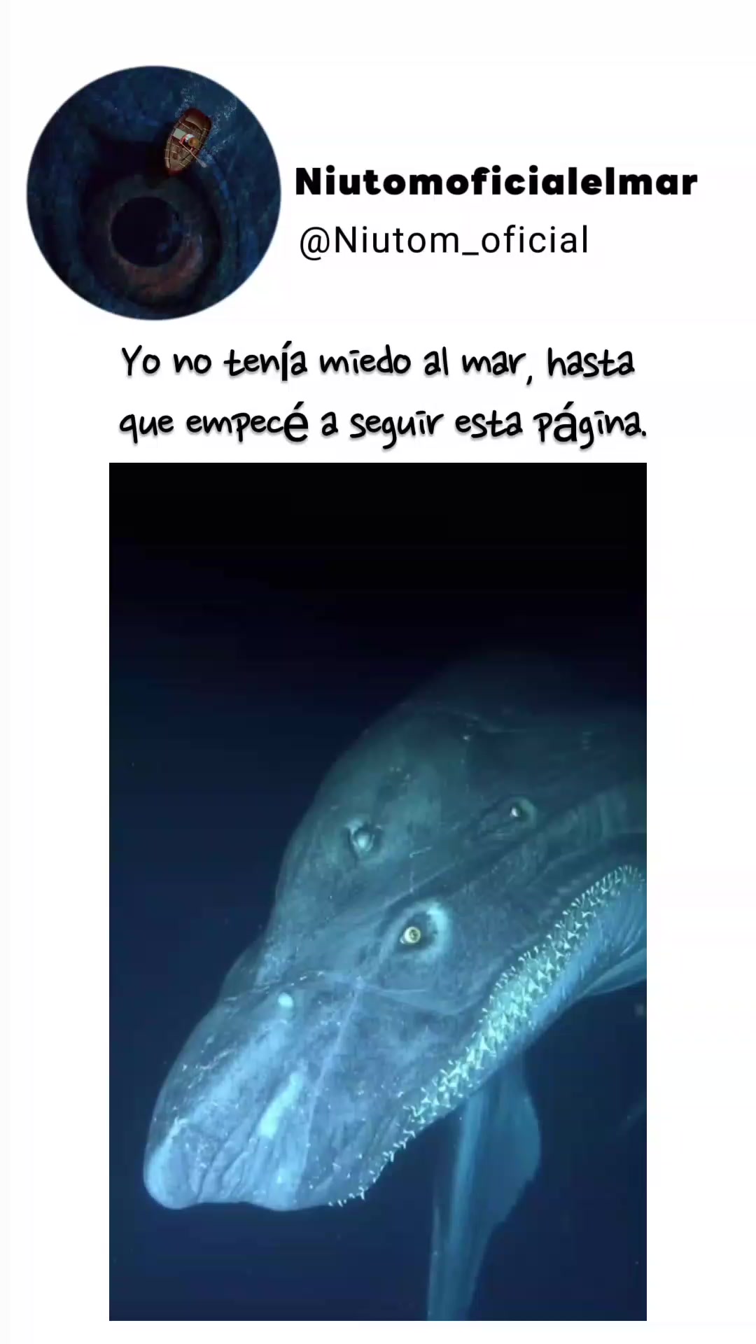 @🌊️niutom oficial el mar 🌊