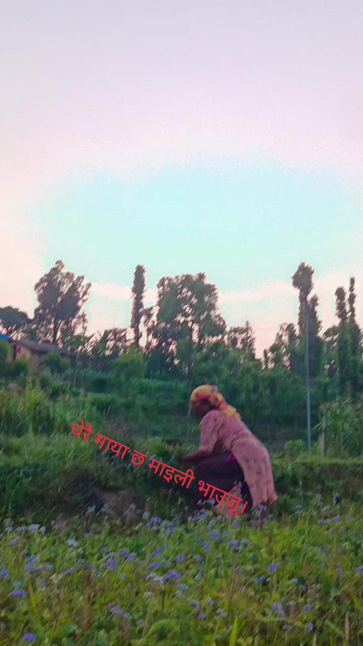 @Mahabir Agri