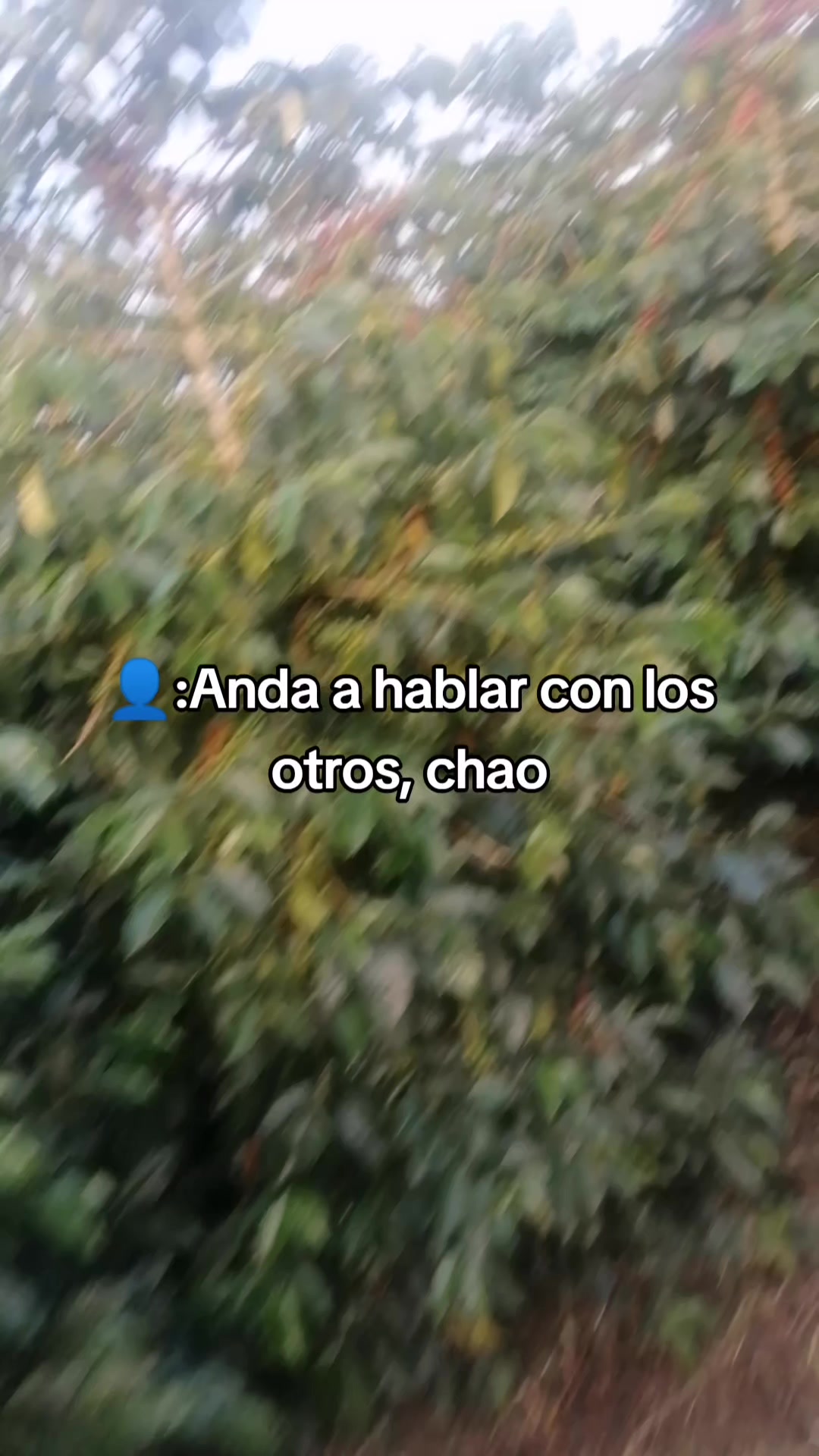 @lanany