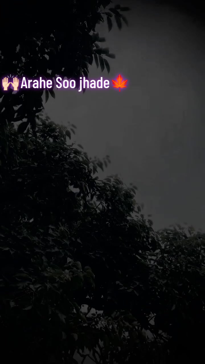 @Imran🦢🍁