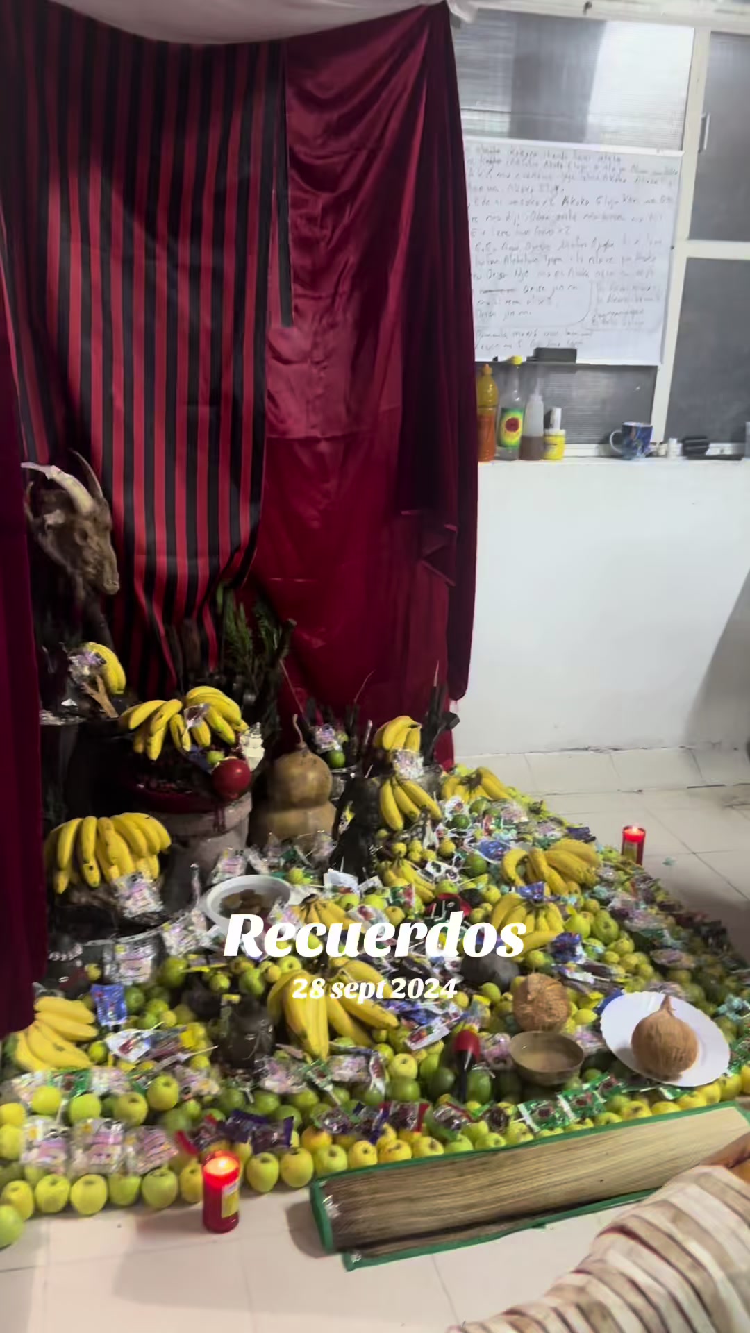@sandyeleguacita