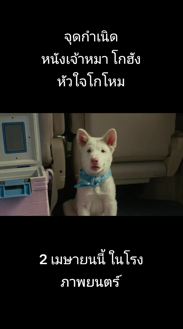 @🌷FC.พี่ตาต้า_38.7K🍃