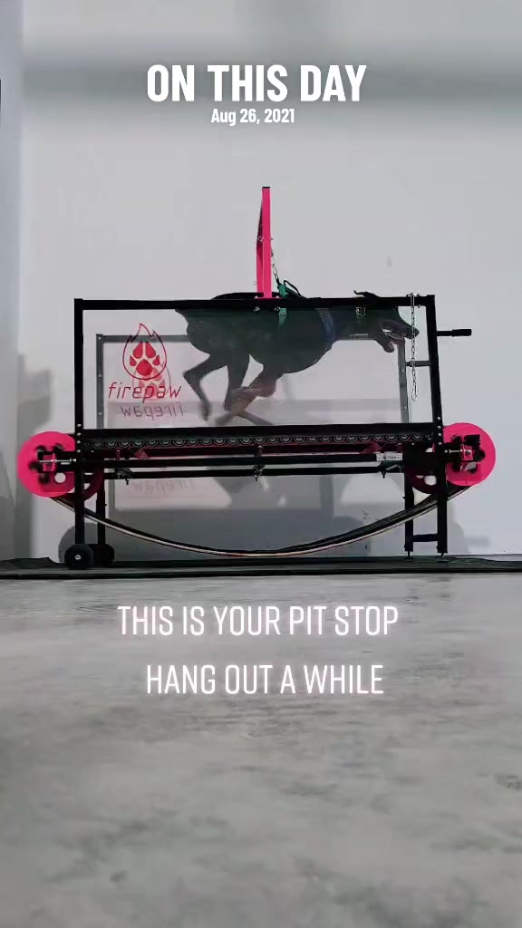 @RaisingHell.Hounds🇨🇦
