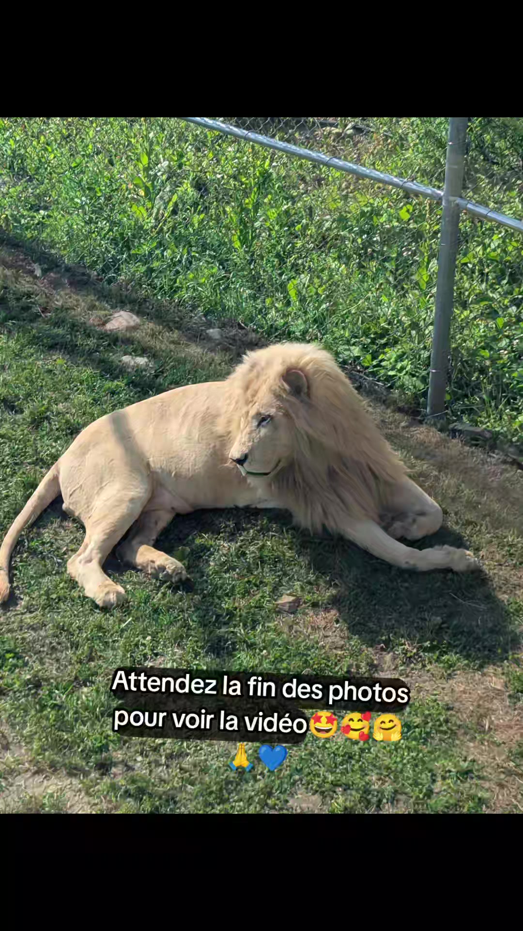 @la congoquoise🇨🇩🇨🇦