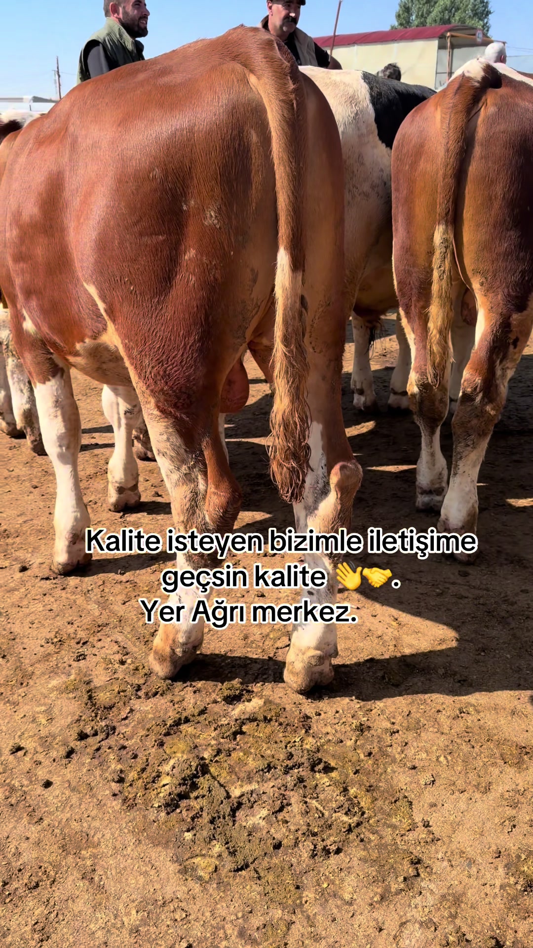 @🦅 yusuf yıldırım 04 🦅
