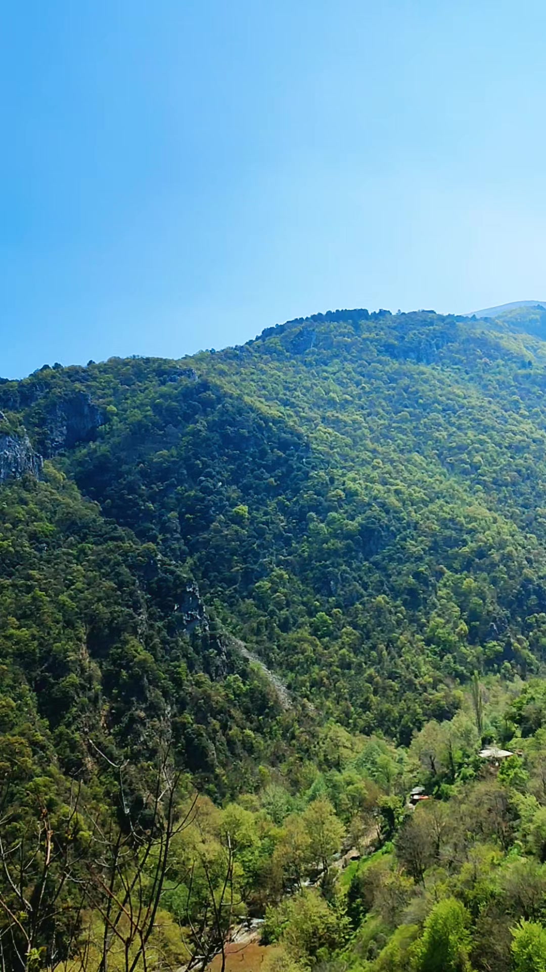 @hayat kısa