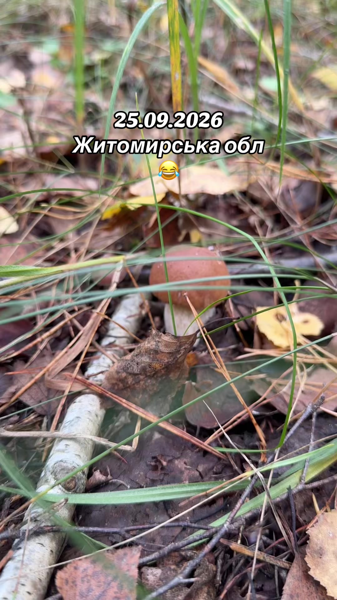 @Анжела😉