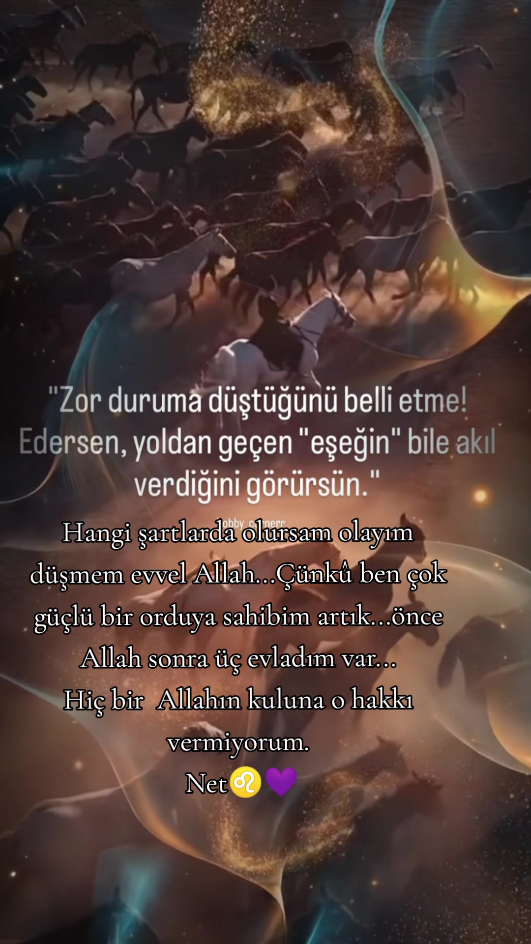 @aslaniçe