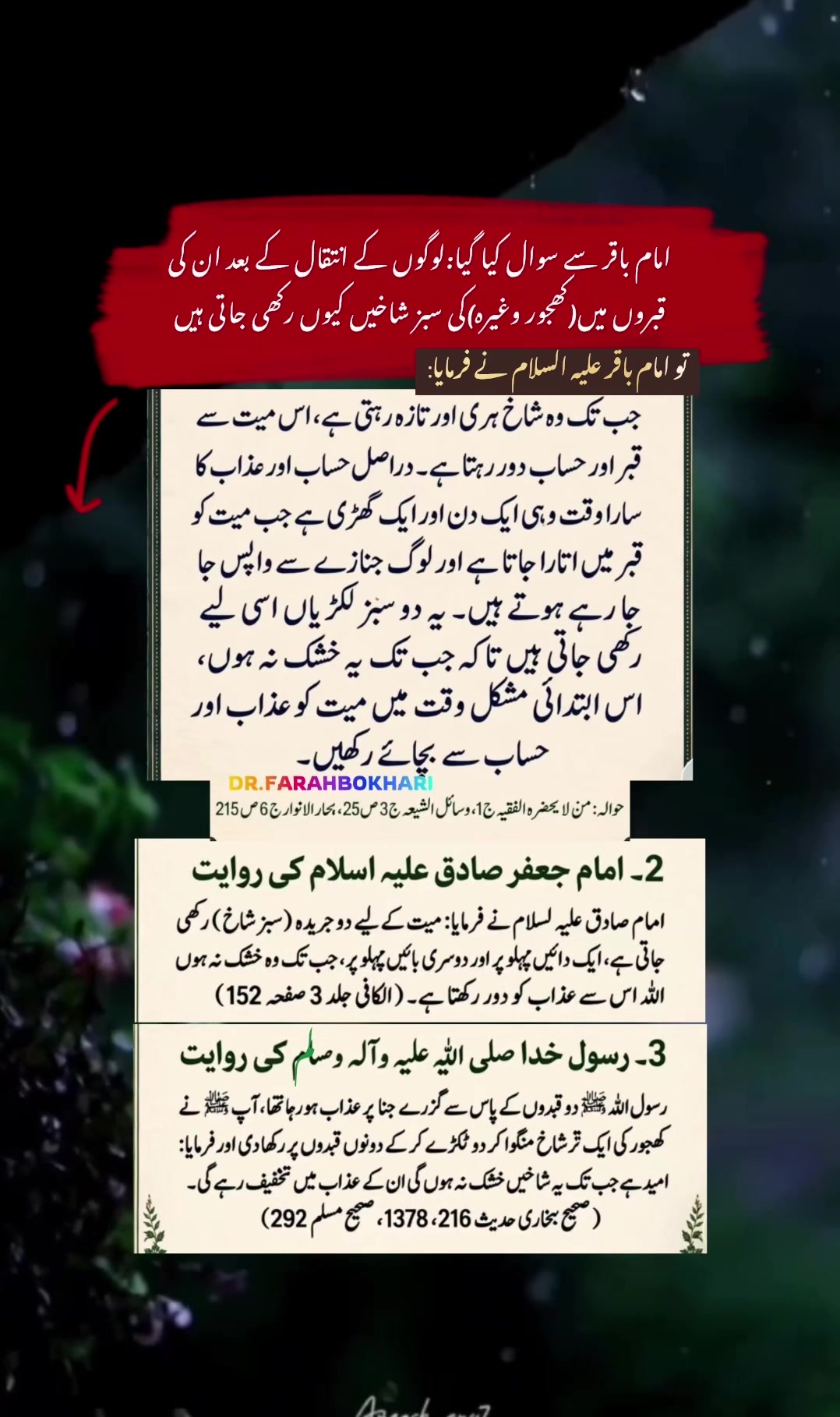 @dr.farahbokhari