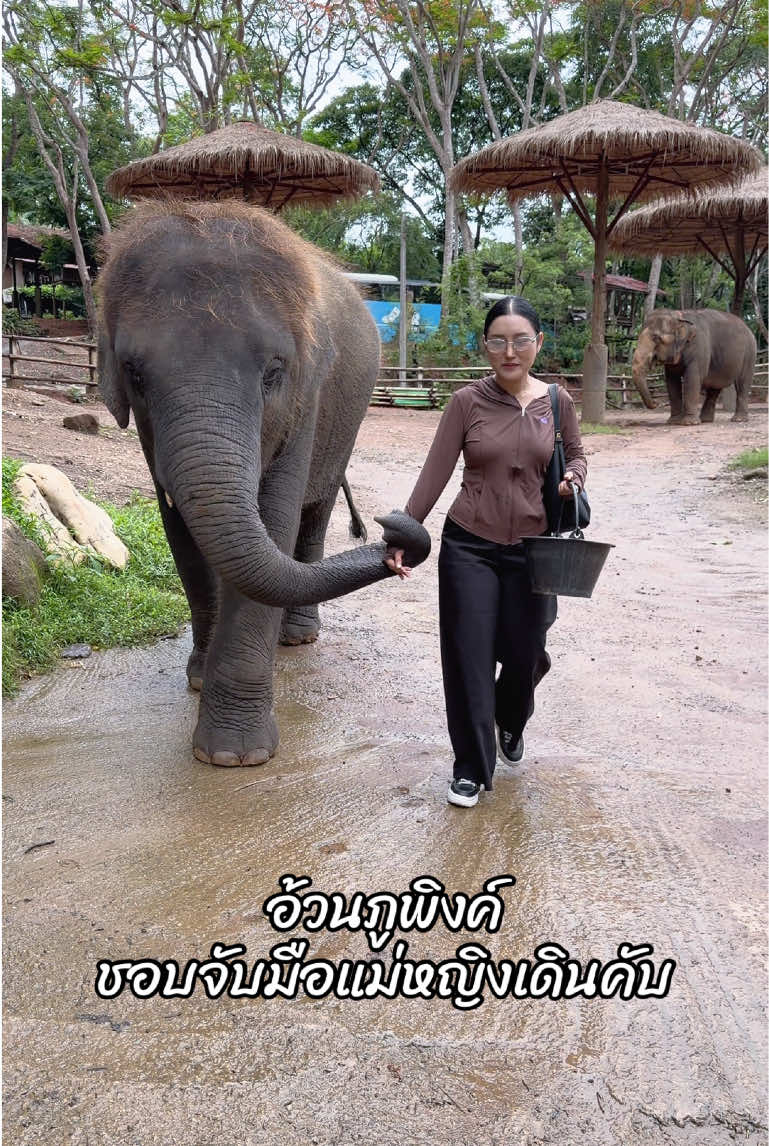 @หญิง ธิติกานต์ Tree Gold BA