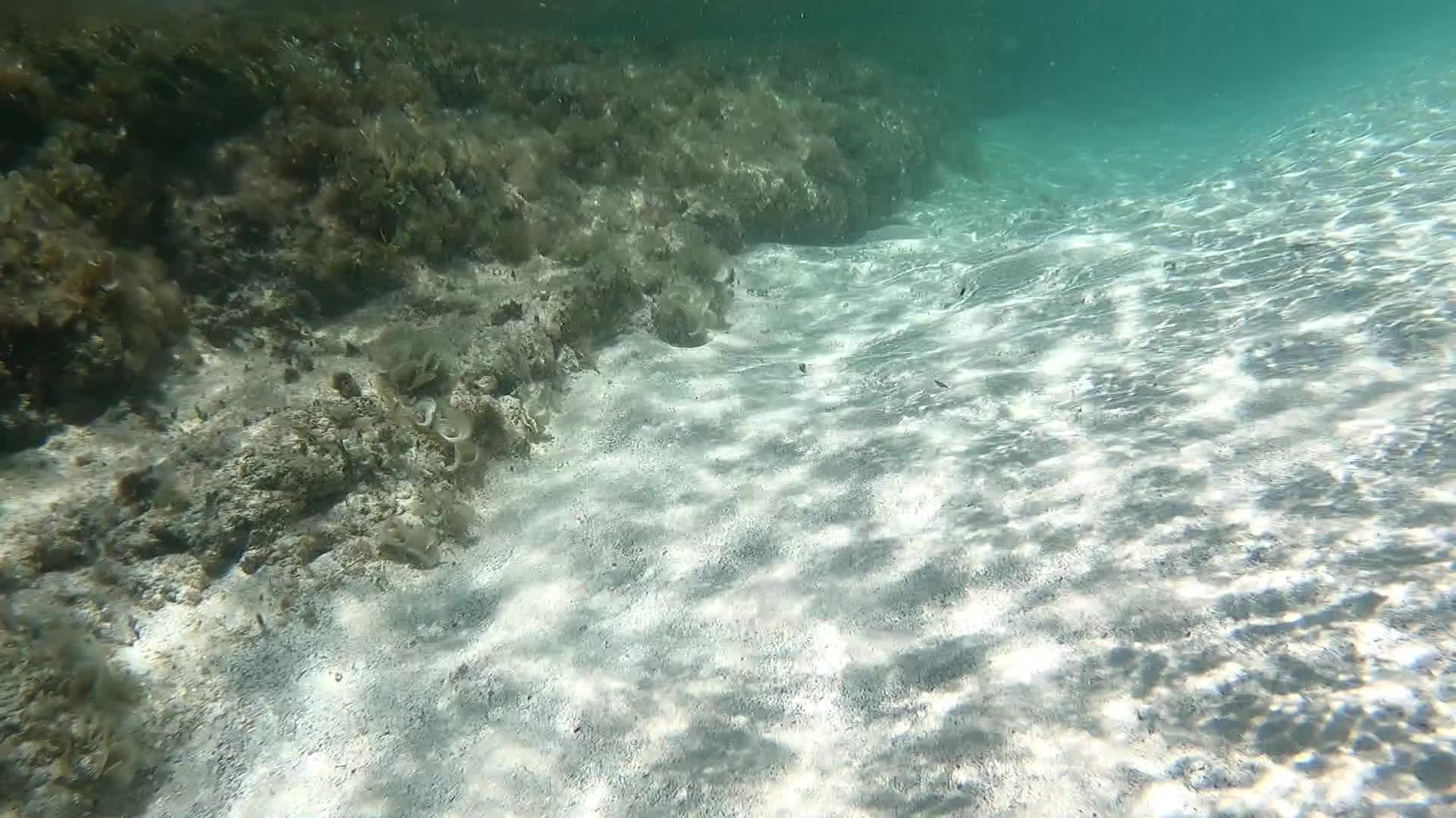 @Jamaica Adventures