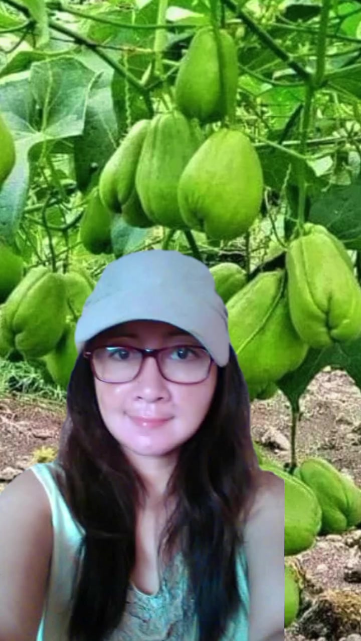 @beccamiks