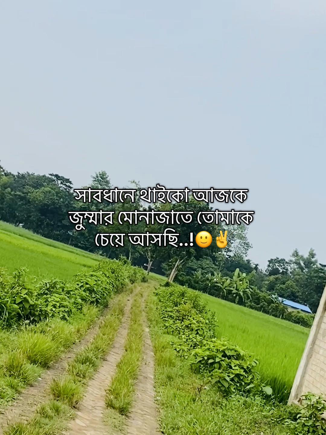 @টিক_টকি 🐸