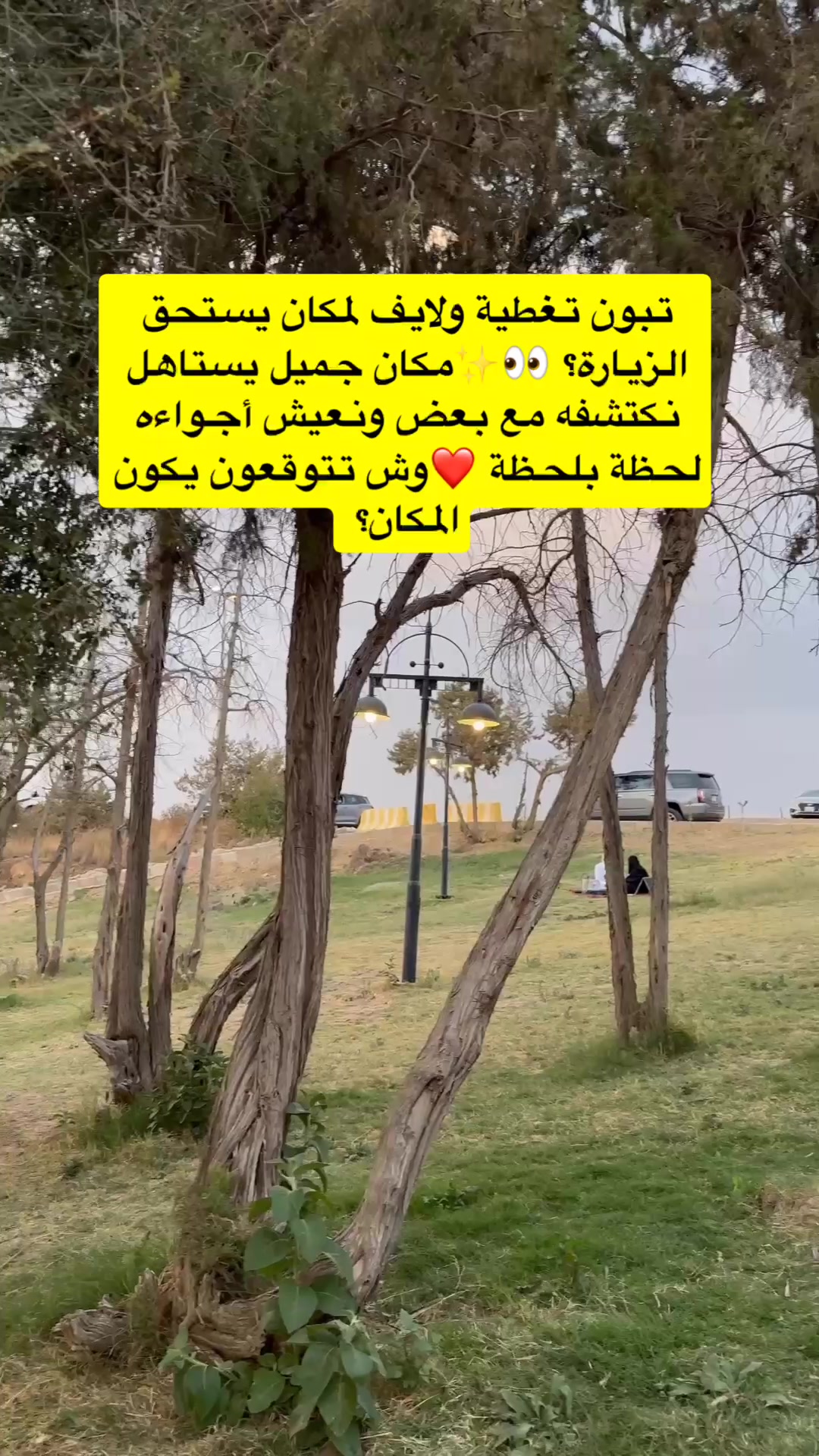 @حكيمه العنزي