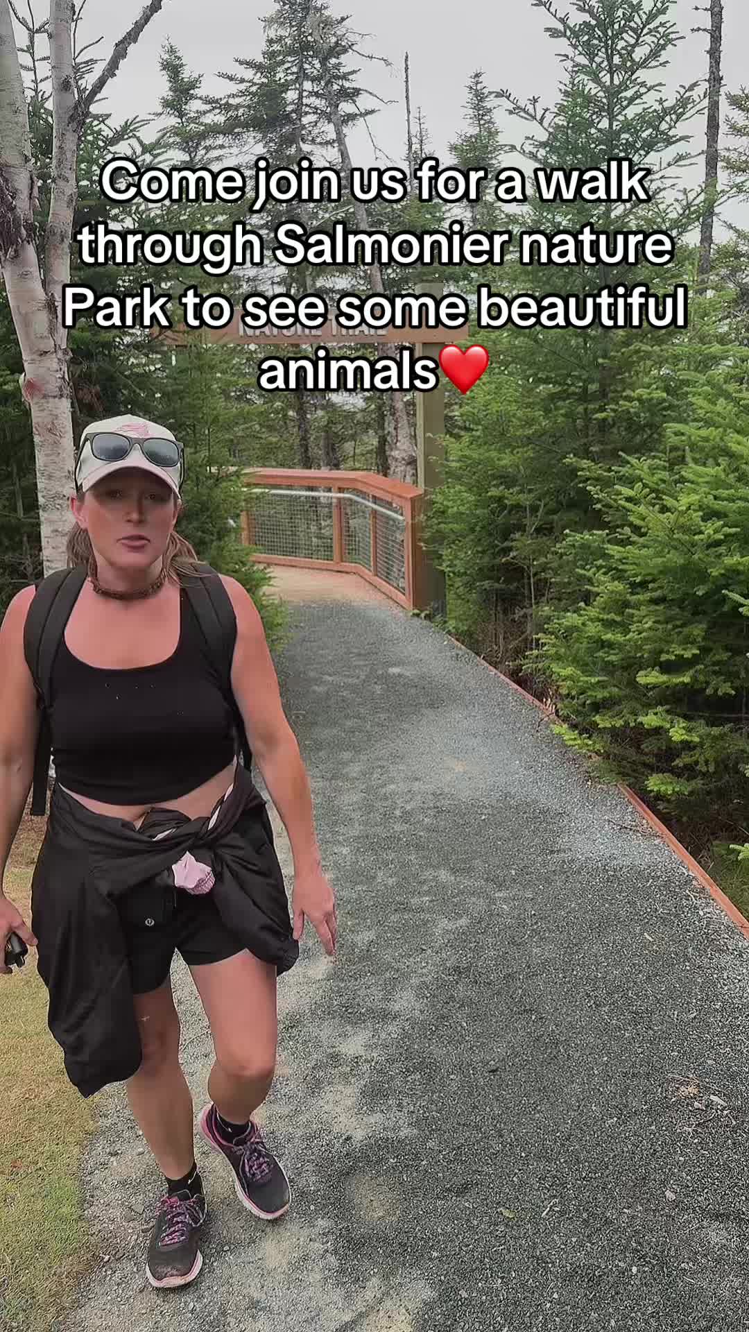 @newfiegirl1709🇨🇦
