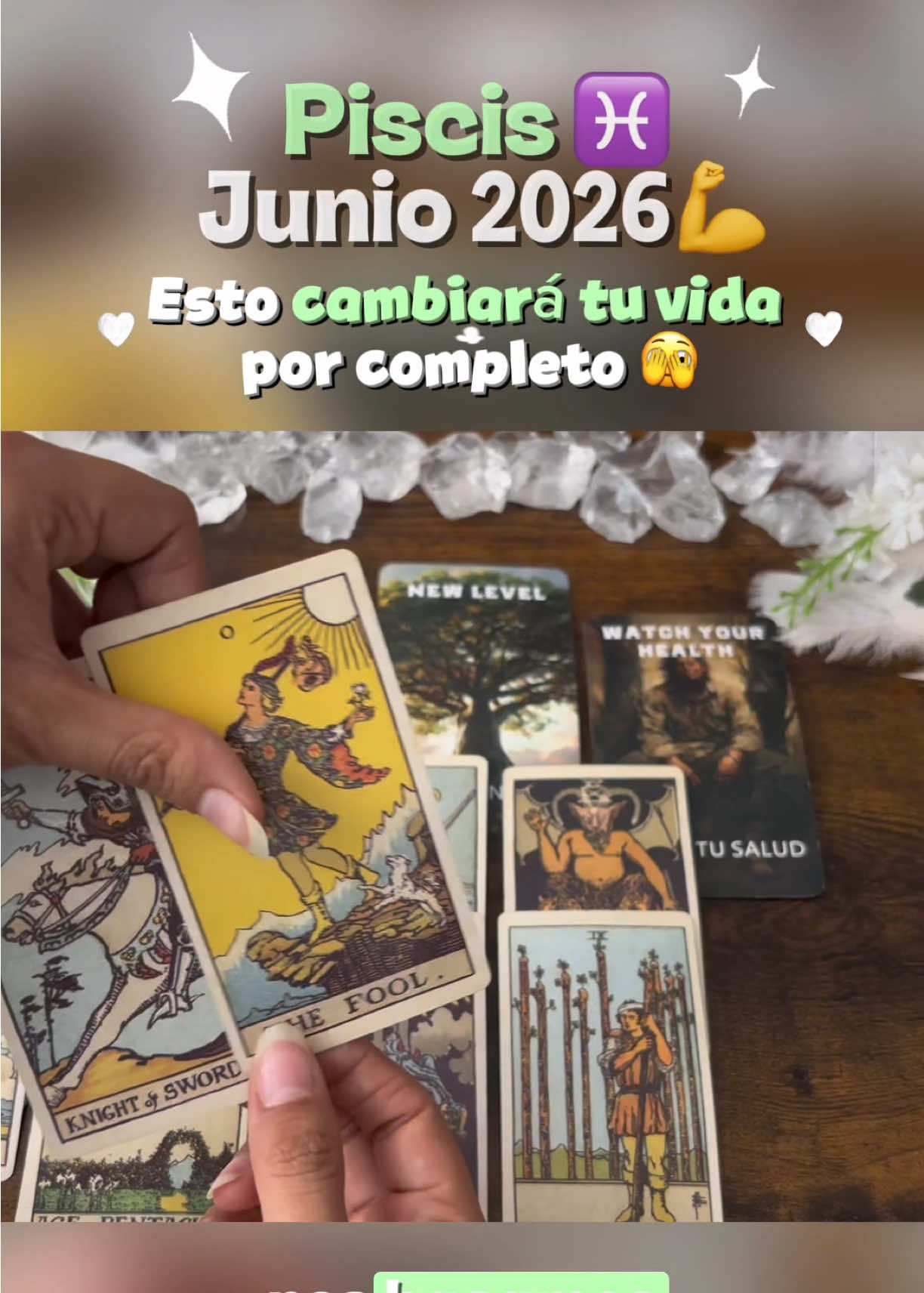 @Andy Sun Tarot ☀️