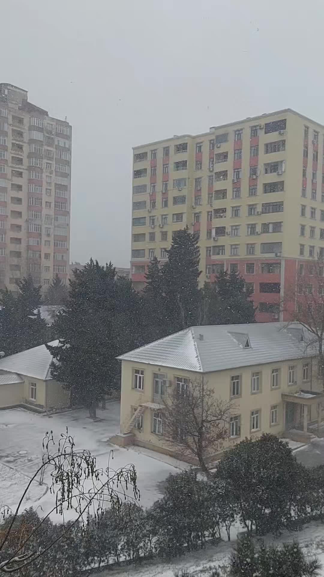 @A_Alieva91