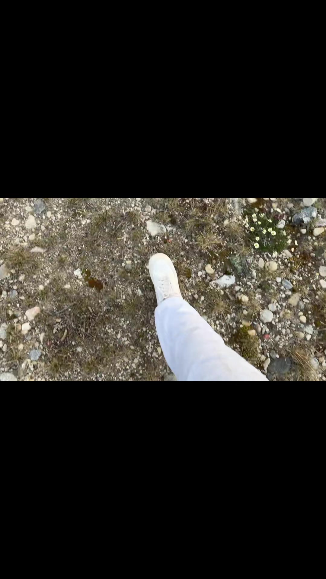 @Lori.xd