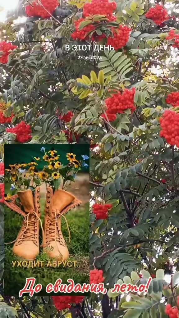 @💫Даниса💫