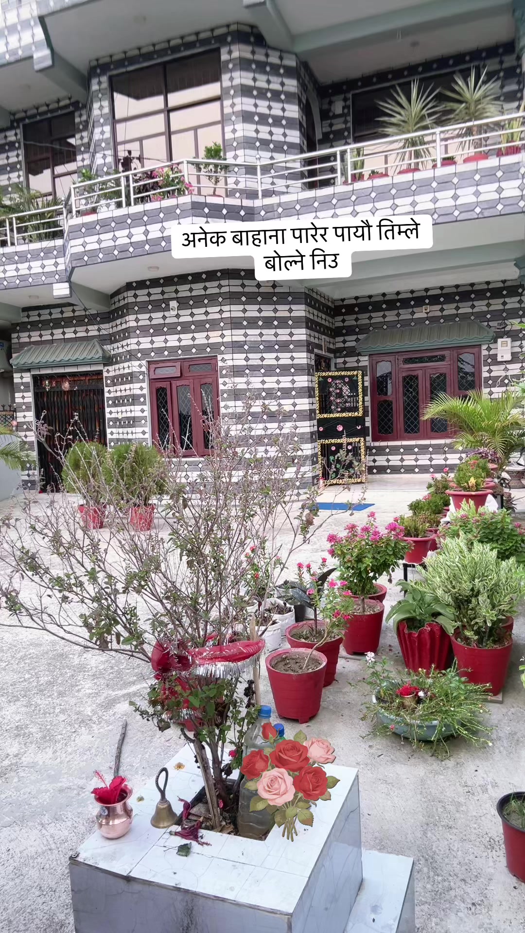 @Sita Thapa