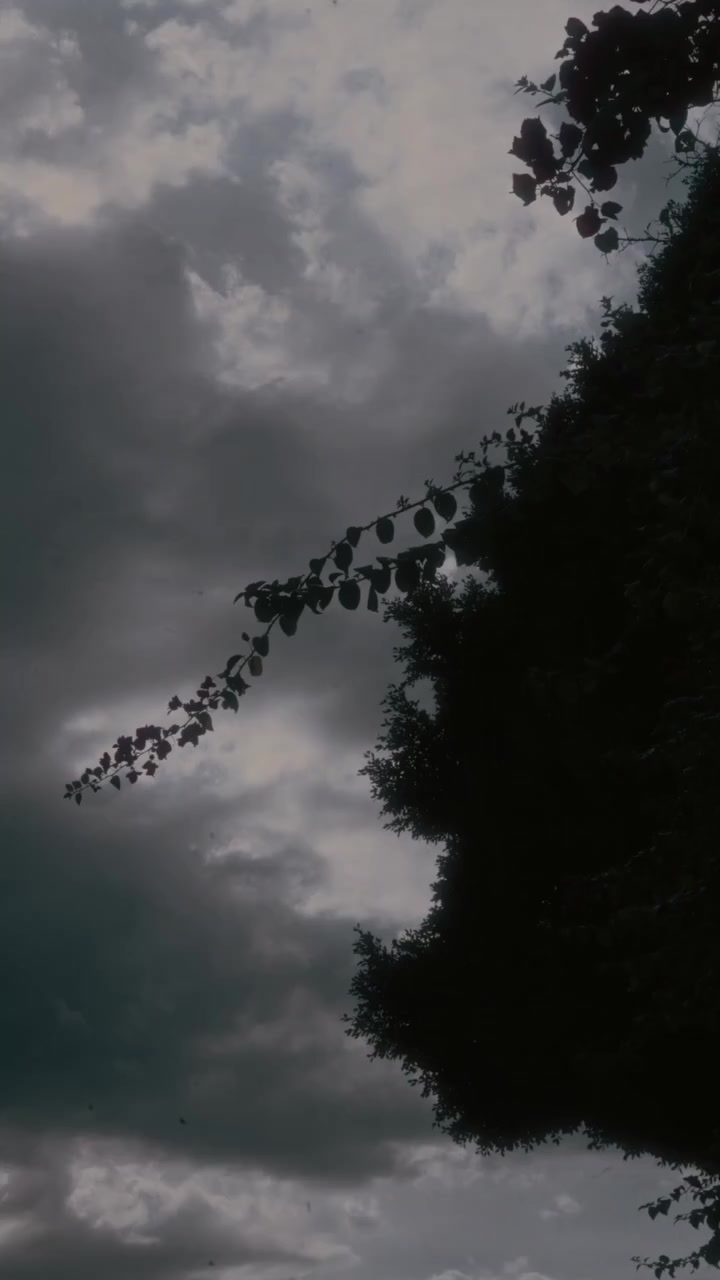@lilyluna ᥫᩣ✨🌙