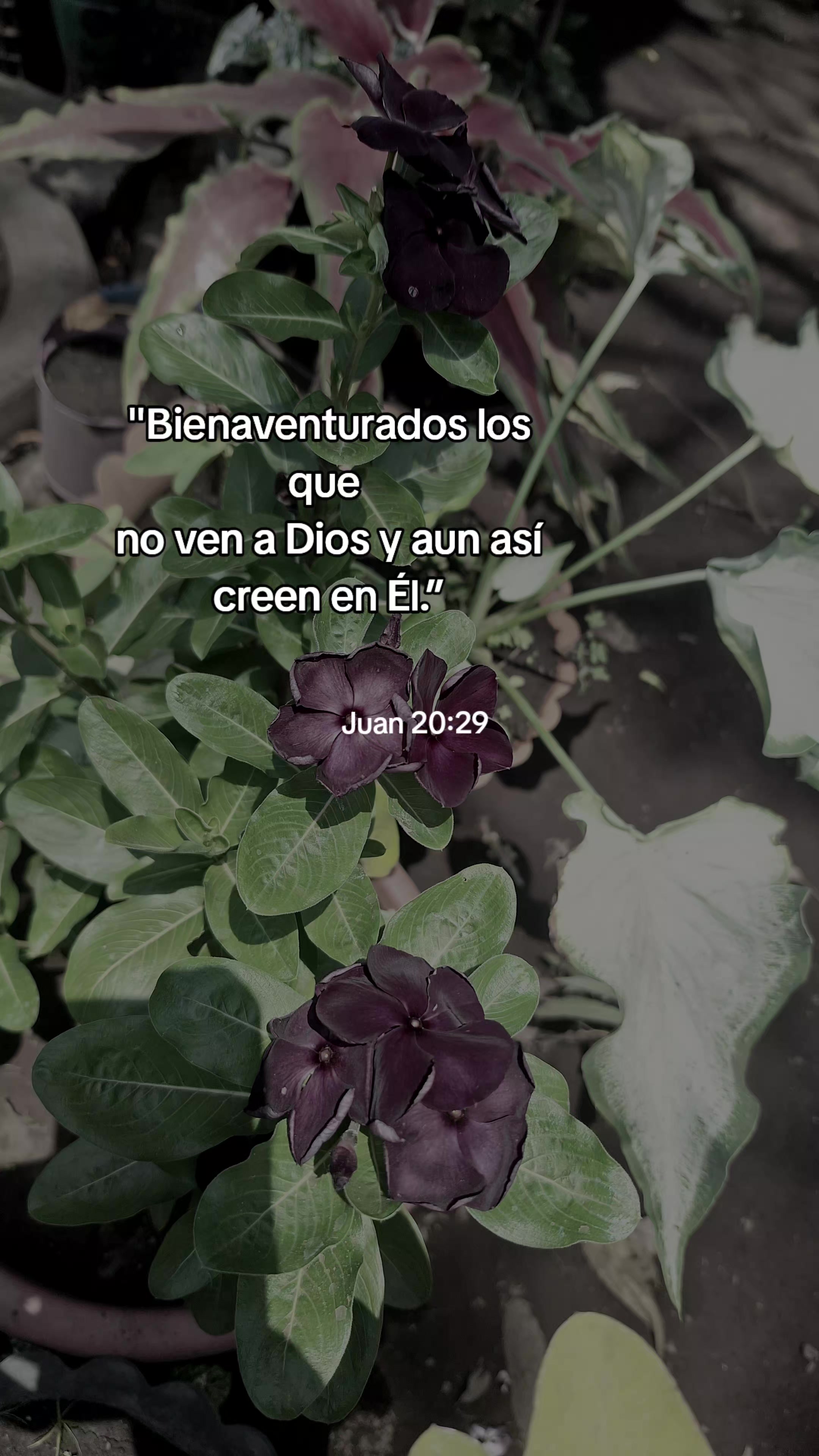 @ABI RODRIGUEZ