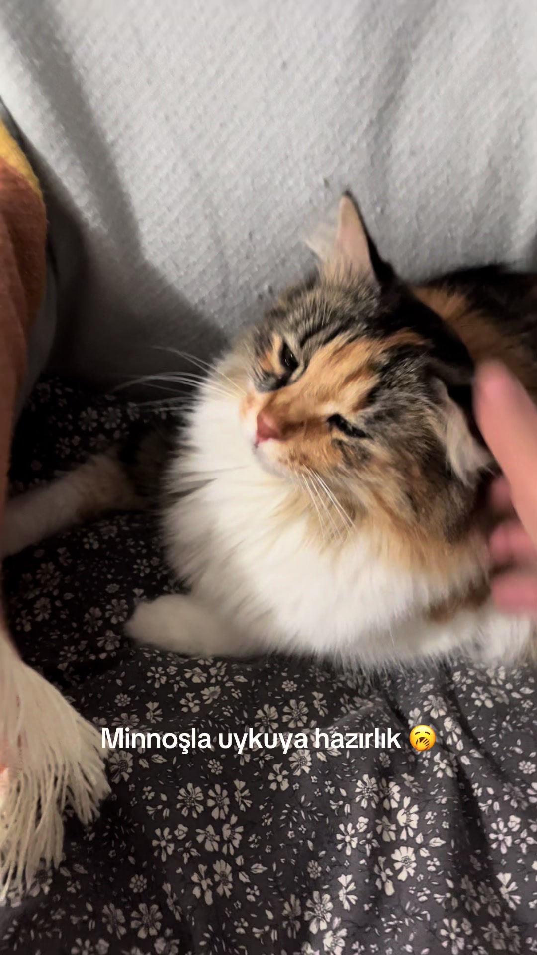 @konusankediminnos