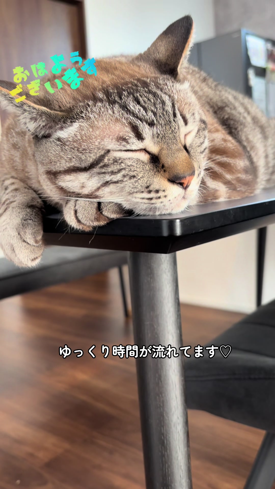 @ゆきりん