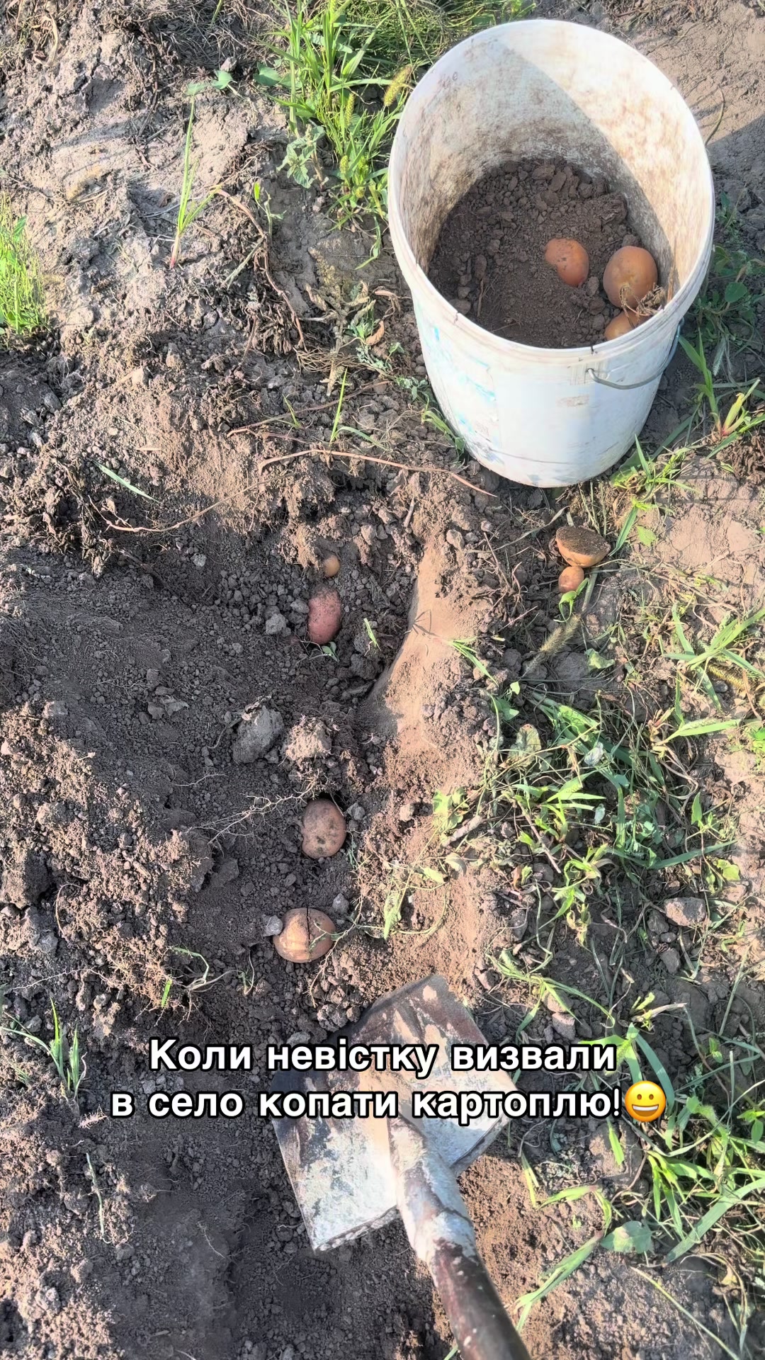 @Volynblog | Луцьк | Ковель