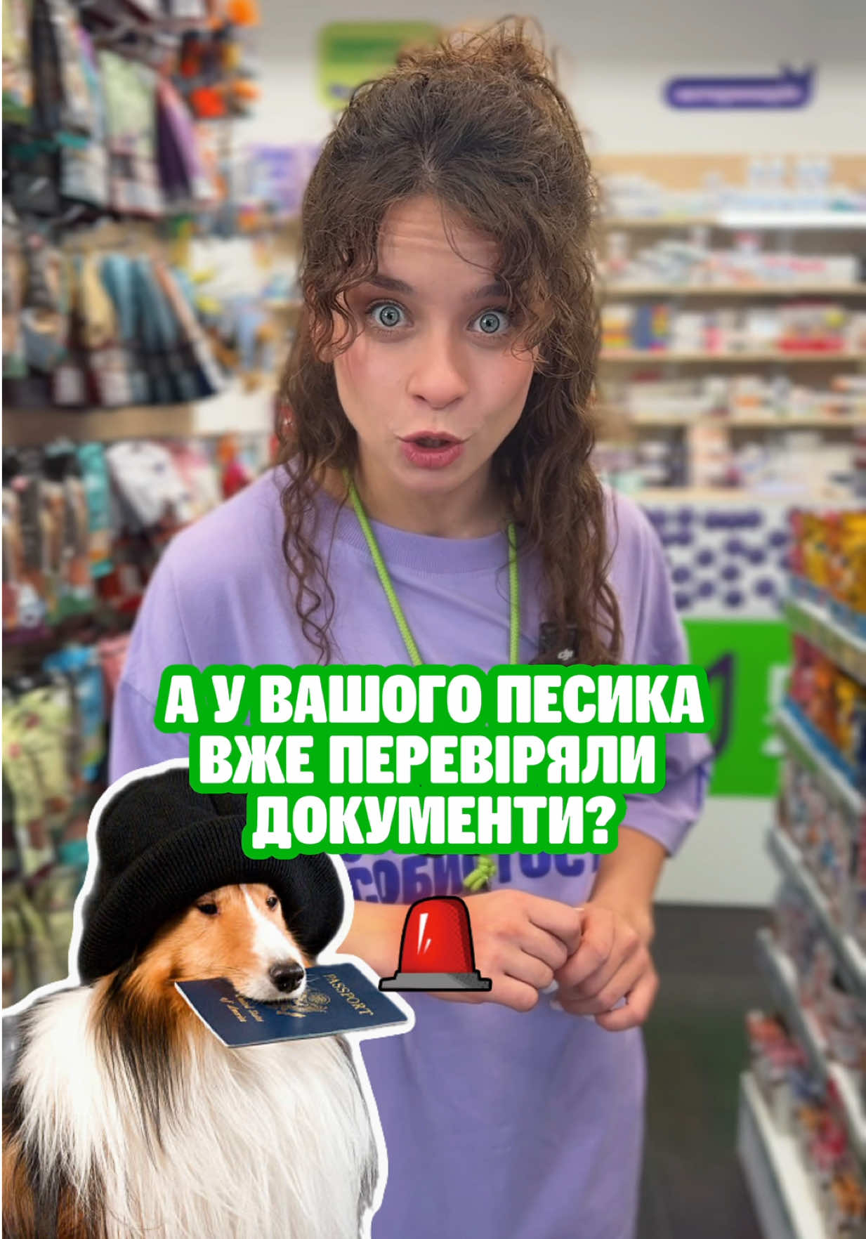 @Зоомаркет MasterZoo