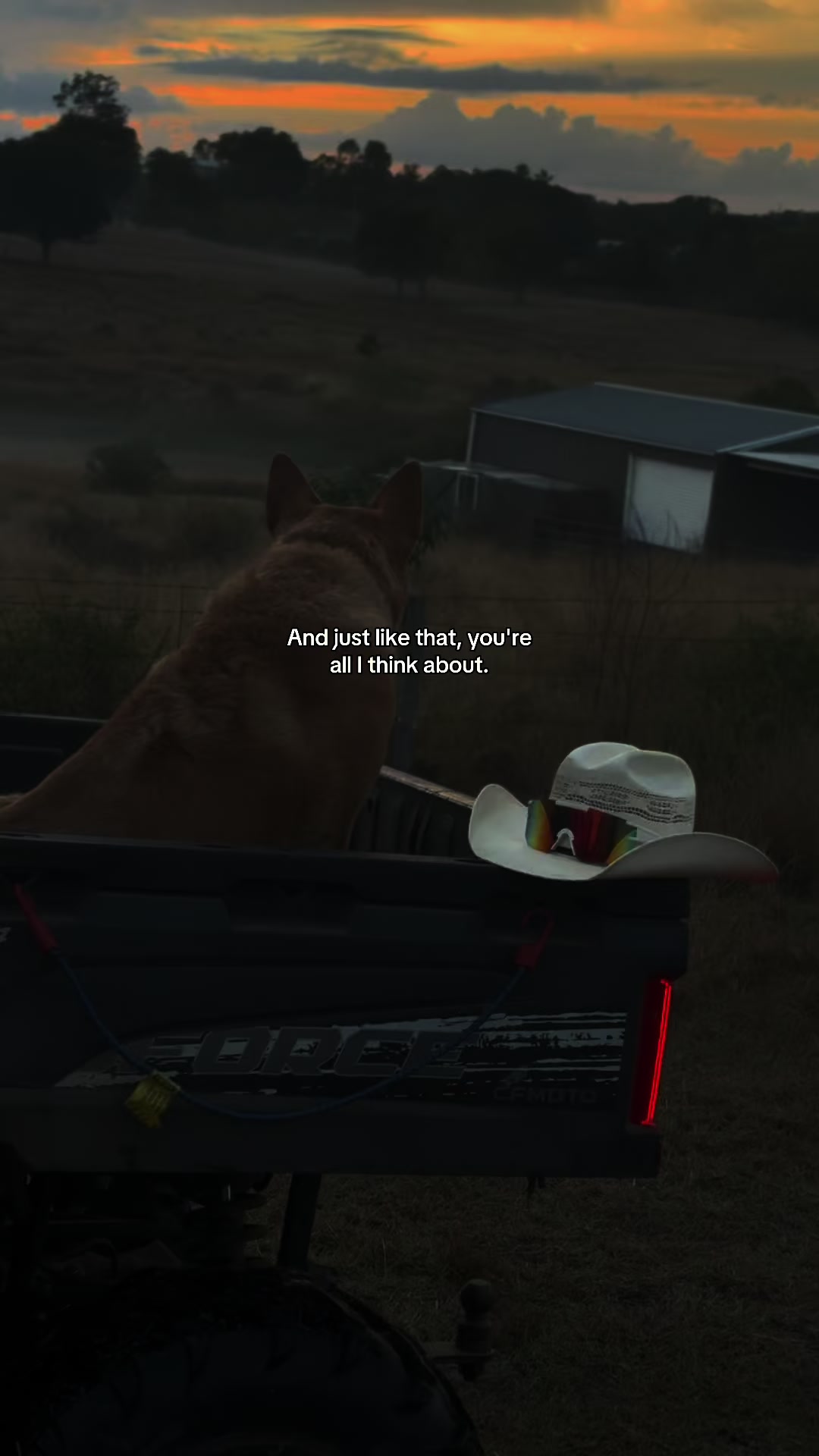 @Mike