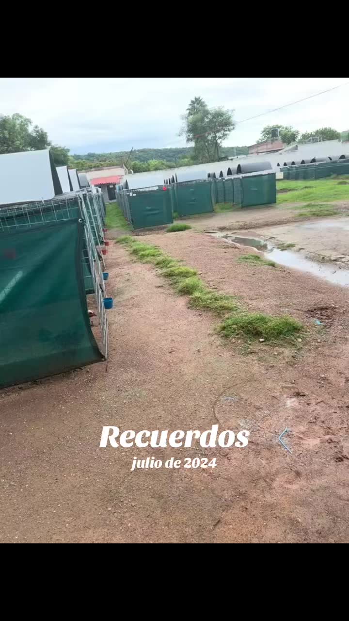 @jovanacruz317