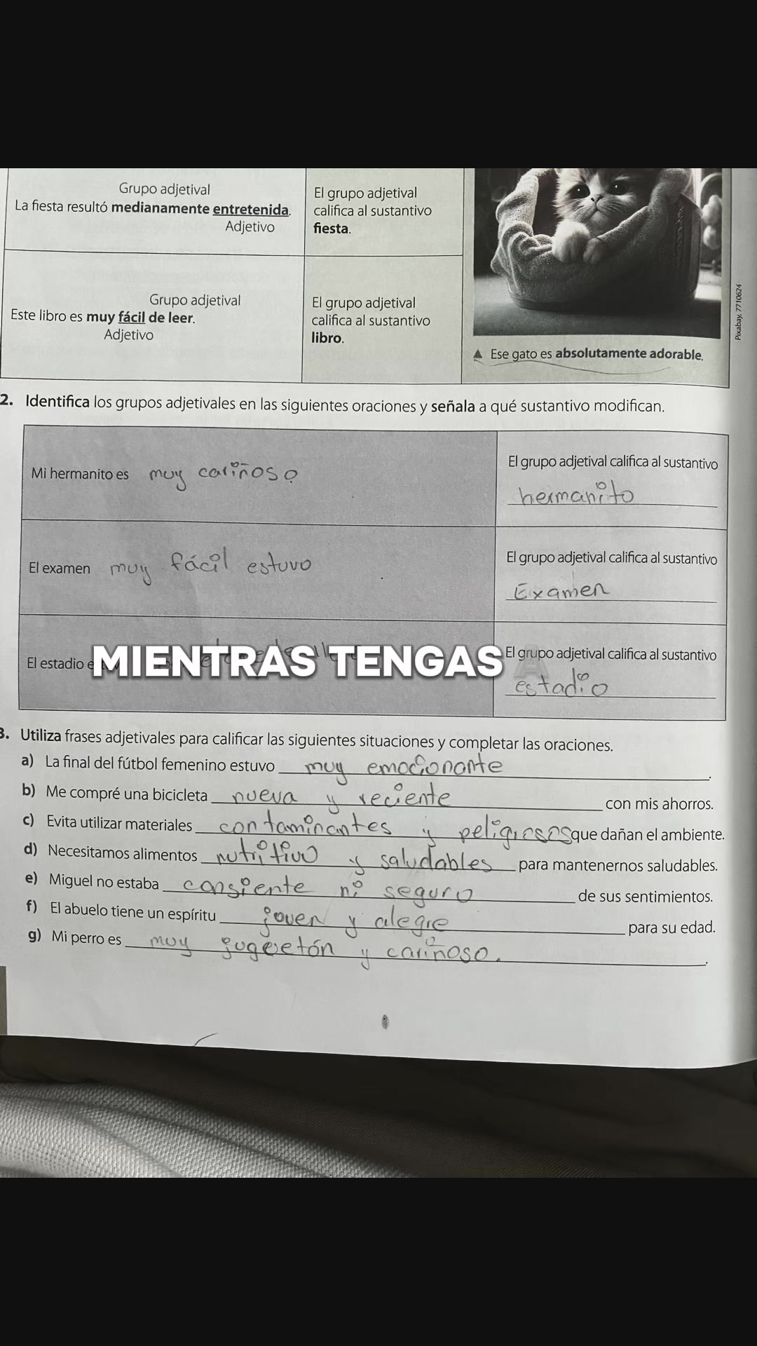 @️🥀Rafa🪫
