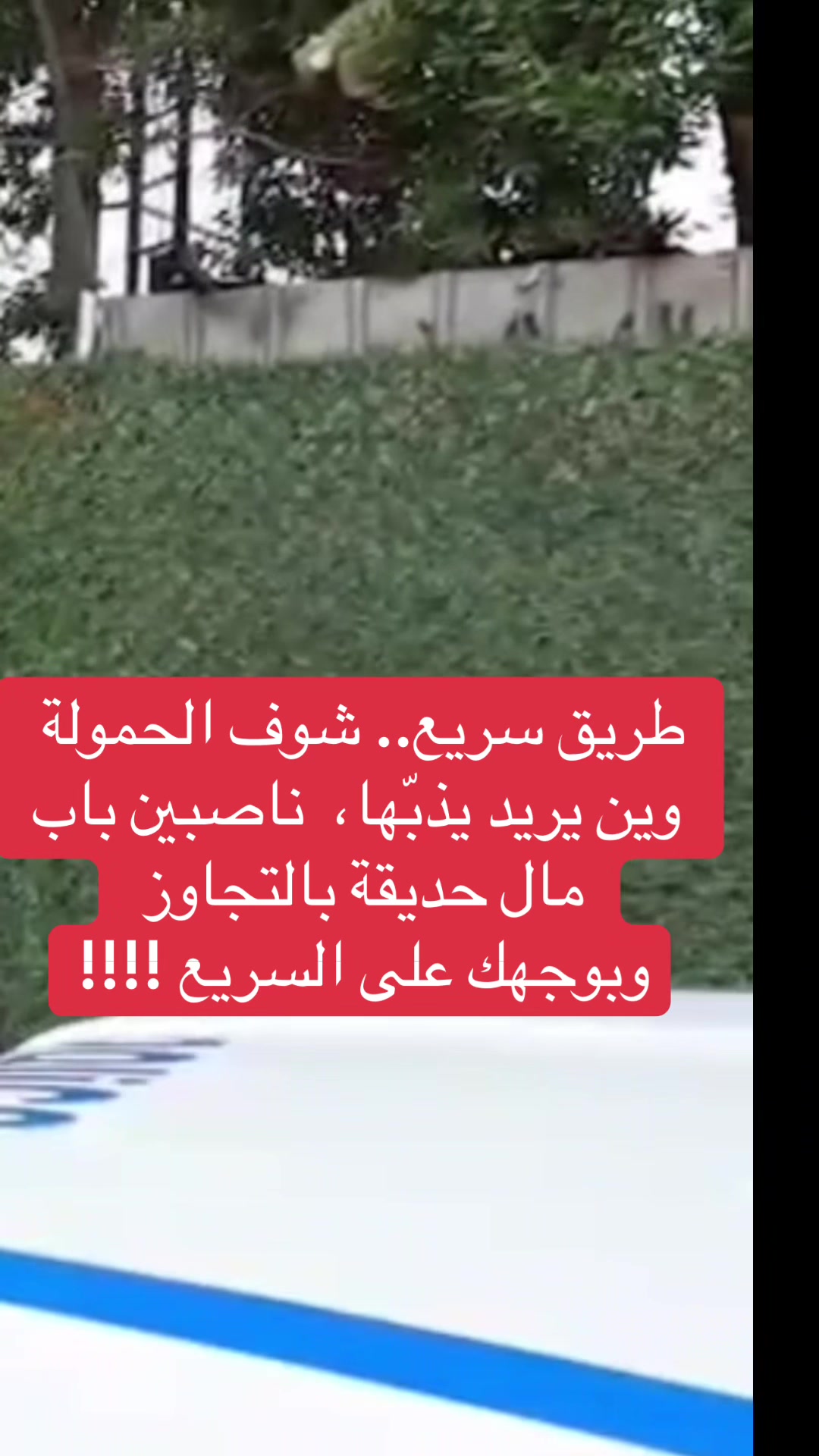 @عاجل وبس