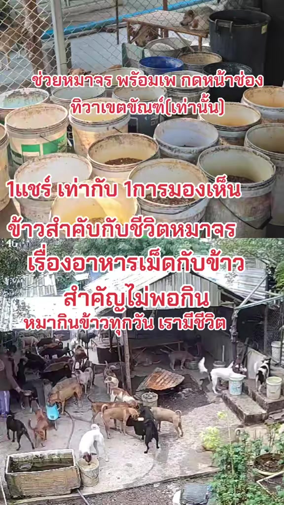 @๐๘๖๑๔o๘๓๙๖ทิวาเขตขัณฑ์