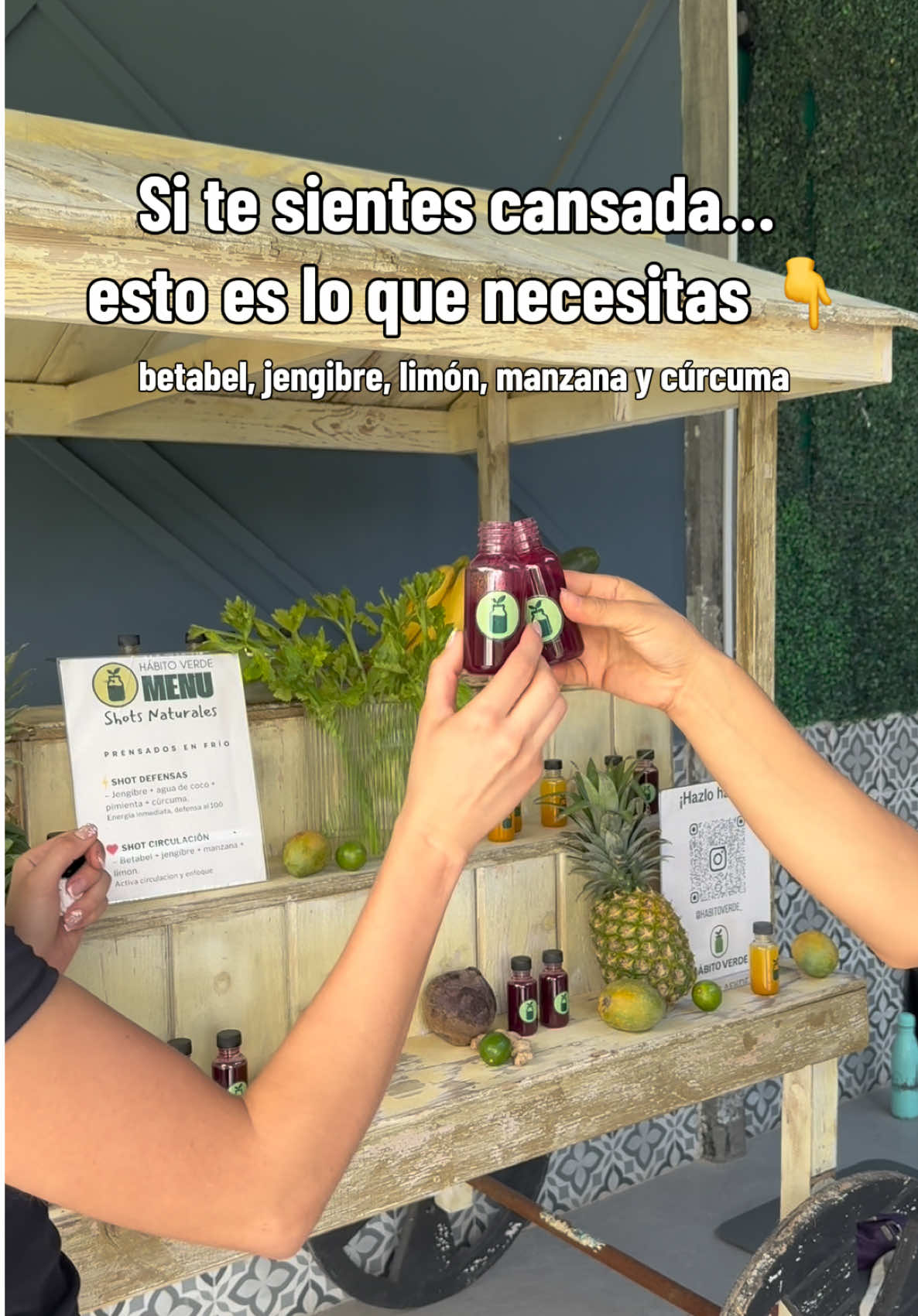 @HABITO VERDE