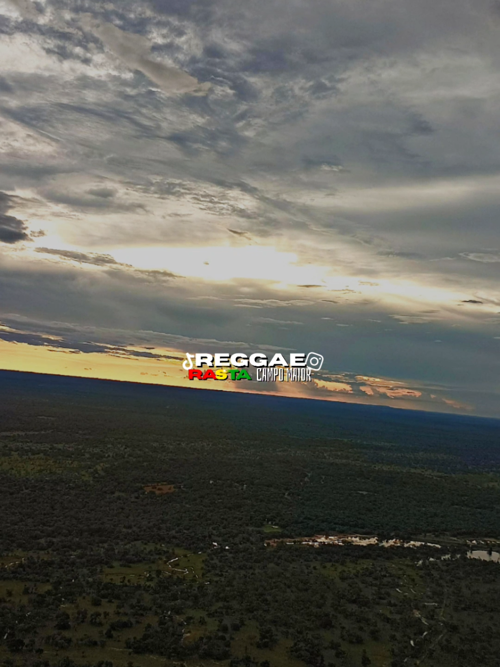 @REGGAE RASTA CM