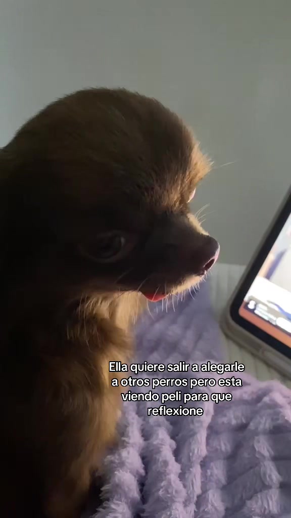 @Nana Ballesteros🦊 🐈⬛