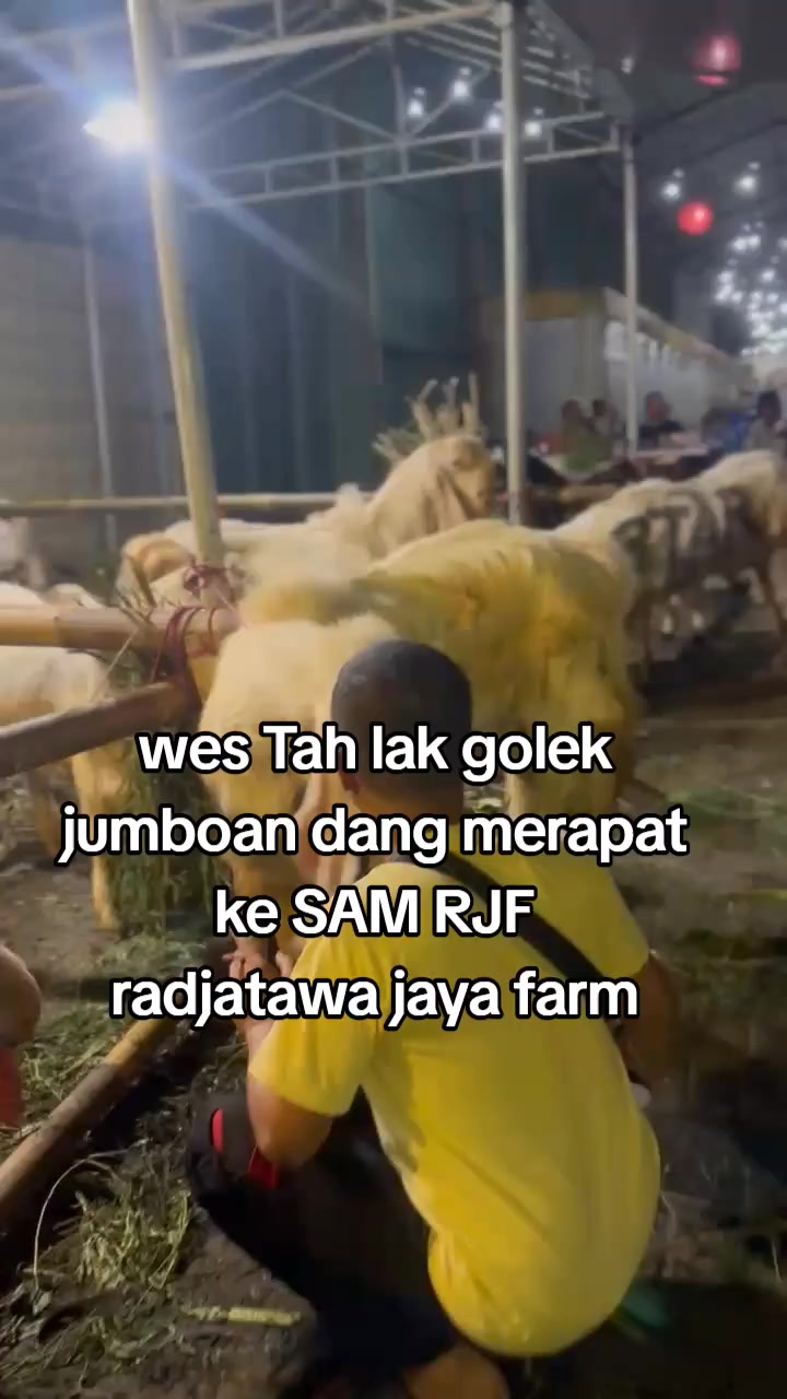 @SAM R.J.F
