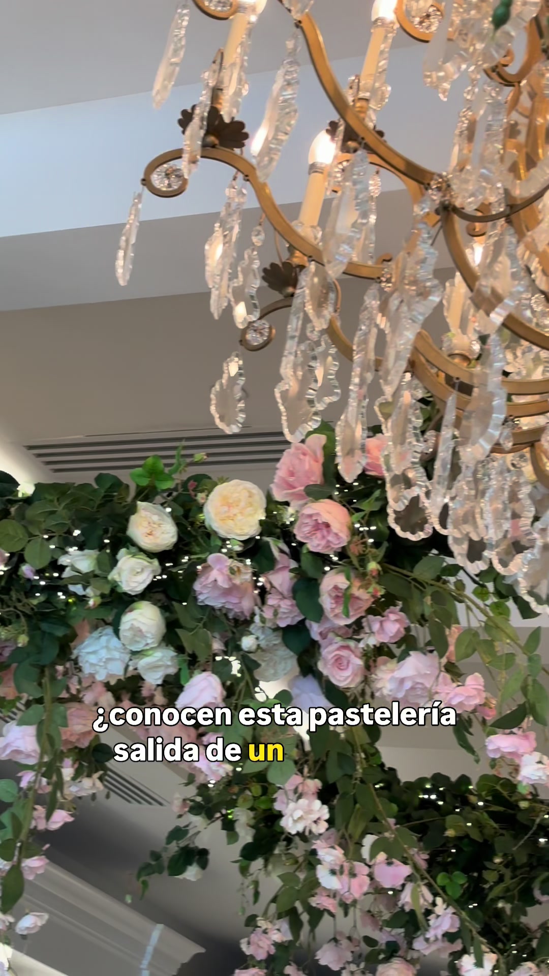 @LAURA RIVAS