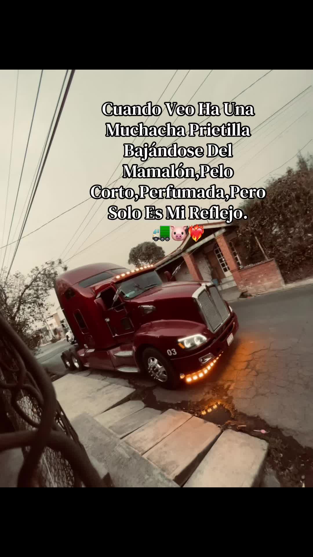 @Mire_Mendoza.🚛🐷🍓