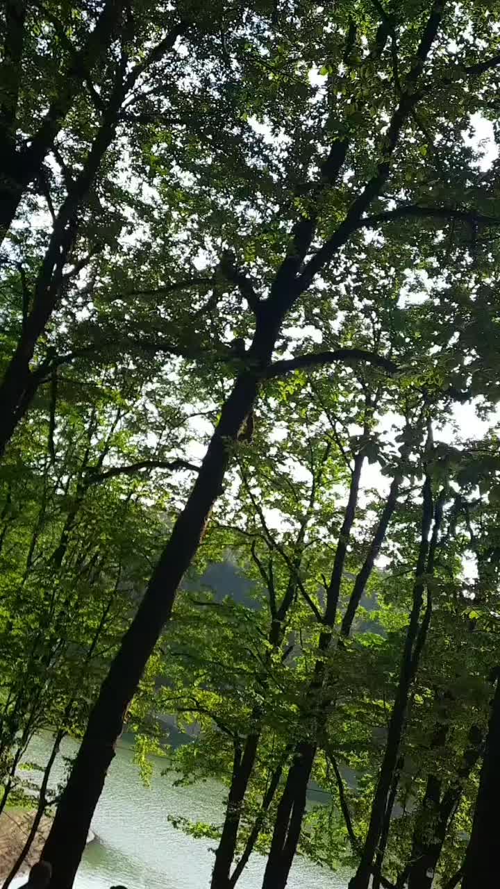 @Sevgi