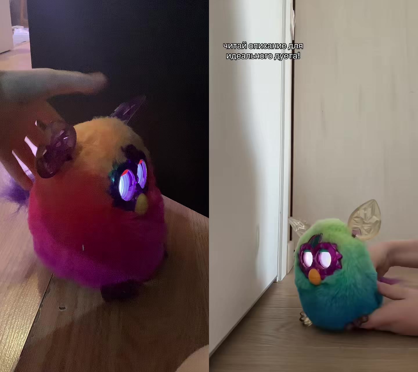 @🍥🍵фёрби Баунти(> w <)🍙🍢
